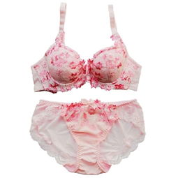 黛安芬內(nèi)衣價(jià)格指南及比價(jià)攻略 460-500元商品精選與51比購返利網(wǎng)評測