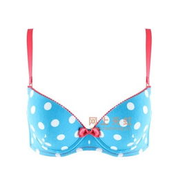 青色文胸芬怡內(nèi)衣 價(jià)格、比價(jià)與產(chǎn)品評測