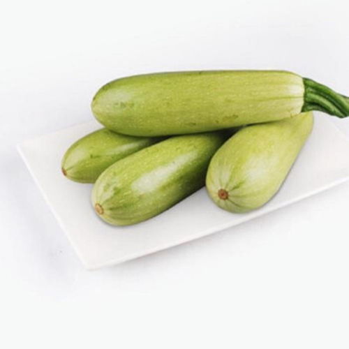 品味山東當(dāng)季鮮蔬 新鮮西葫蘆，農(nóng)家自種的自然饋贈